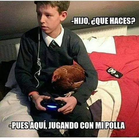 Humor para linces ponedores