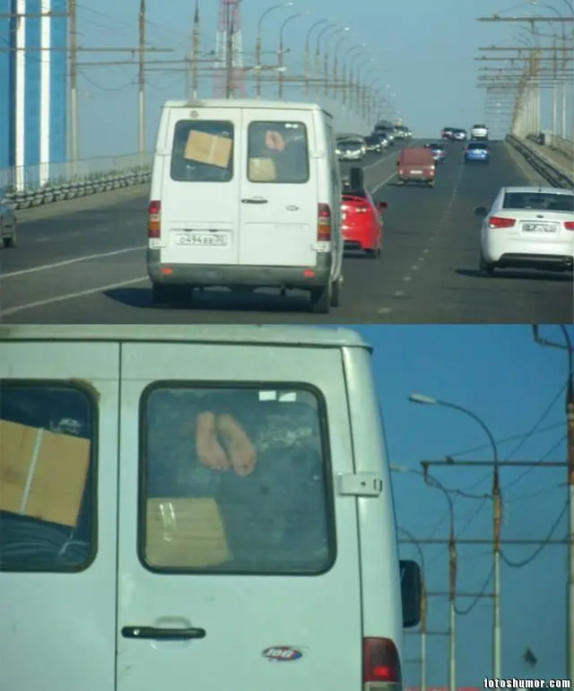 imgs