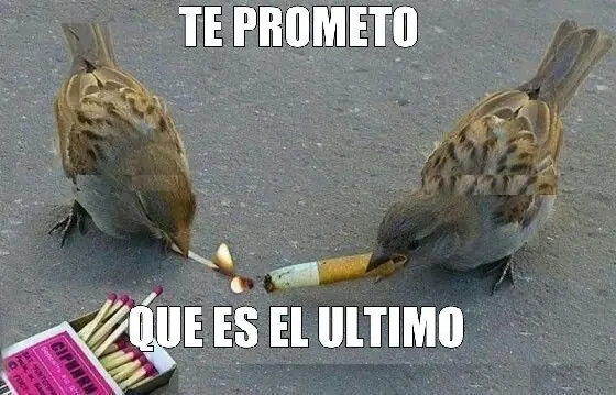 humor