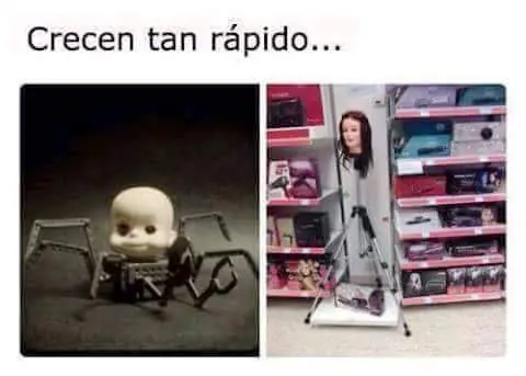 reir