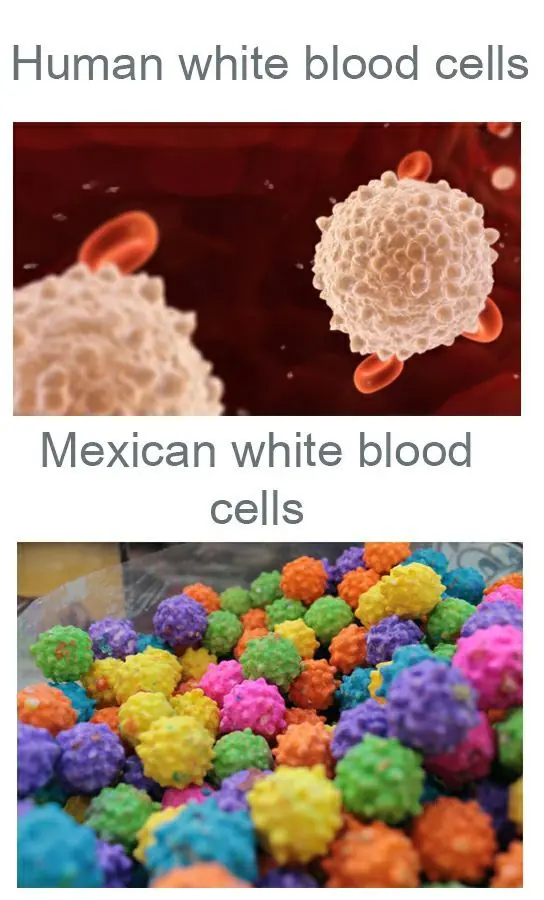 mexican humor
