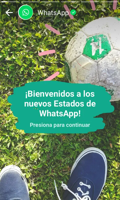 whatsapp whatsapp