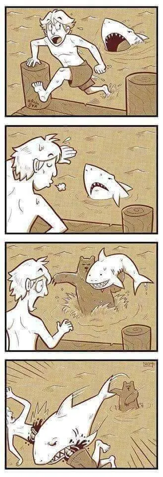 memes