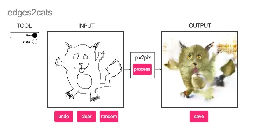 gatos