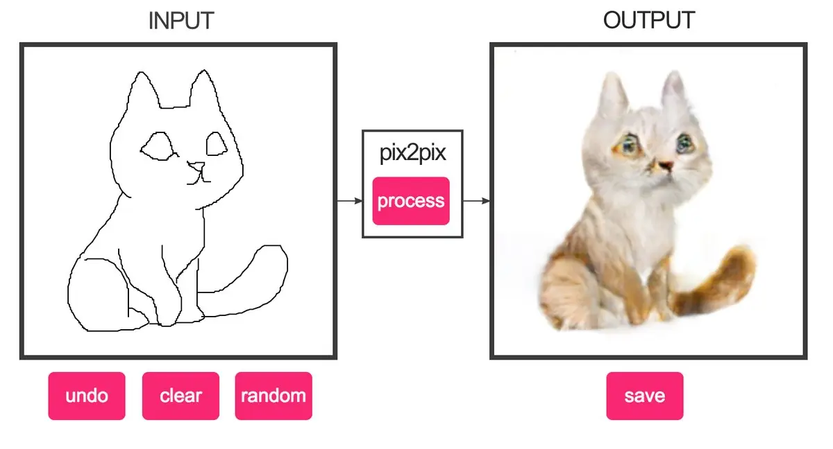 gatos