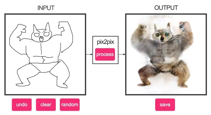 edges2cats
