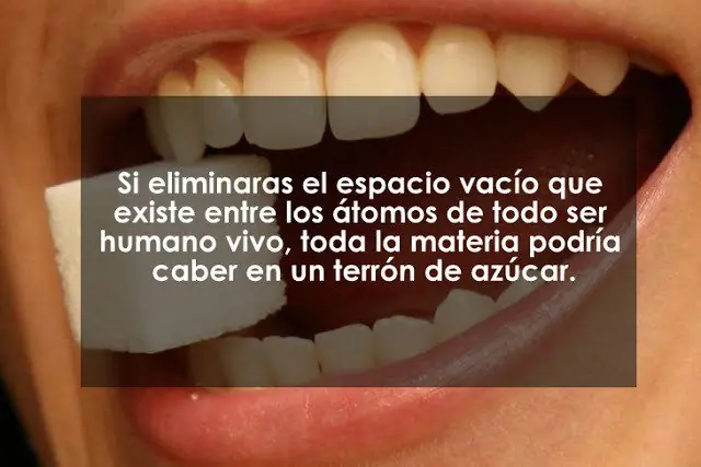 verdades