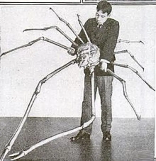 Isopodos