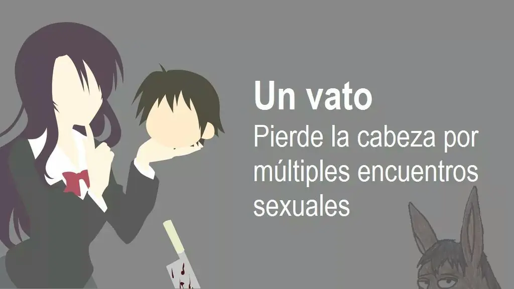 Biblioteca de 40 animes