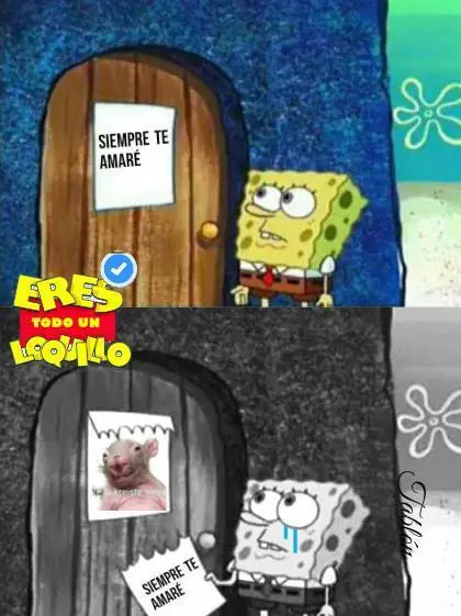 memes