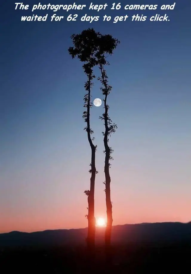 imagenes curiosas
