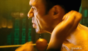 Peleas Peleas