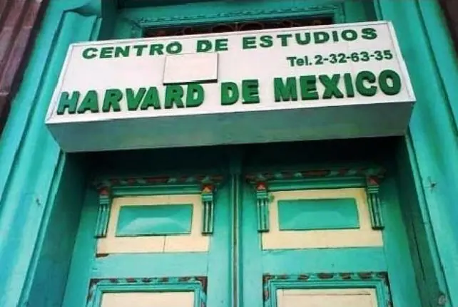 divertido