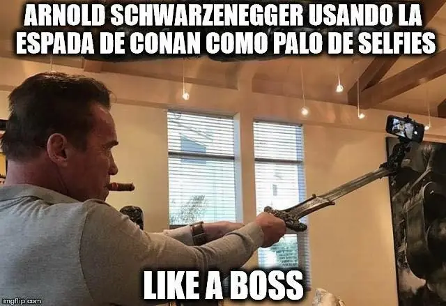 Humor para linces ponedores