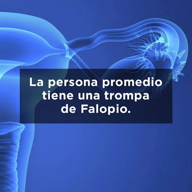 30 Verdades obvias que explotarán tu cabeza