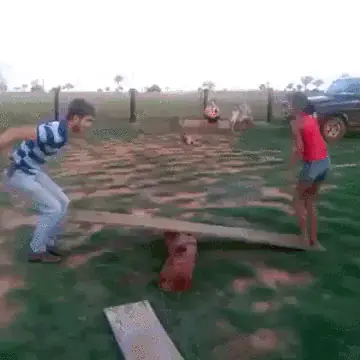 gifs