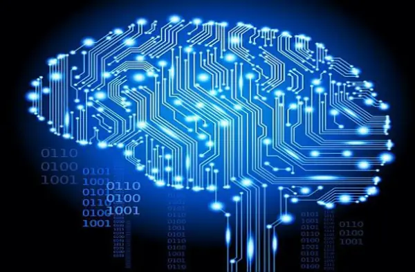 13 Misterios del Cerebro Humano! Sorprendentes!