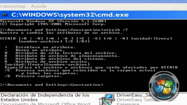 Como recuperar archivos eliminados usb o PC