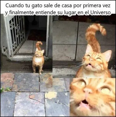 chistes graciosos