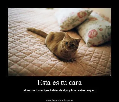 humor