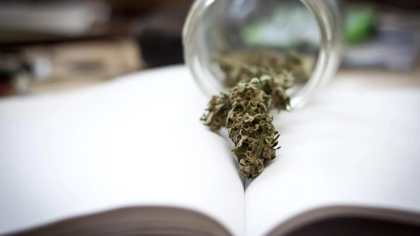 planta medicinal