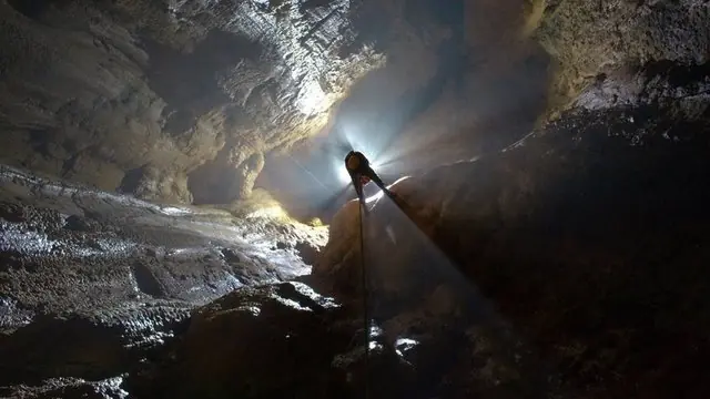 vertical
