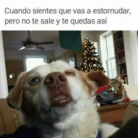 Humor de Miercoles