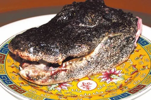 comida internacional