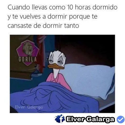 Origen de algunos momos+yapa seleccion de momos parte I