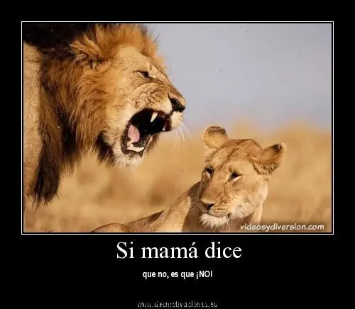 humor