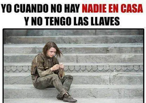 Imagenes Humor linces