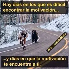 Imagenes Humor linces