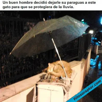humanos humanos