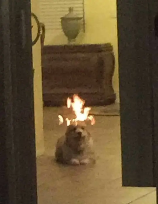 Imágenes de humor nocturno Parte- 94