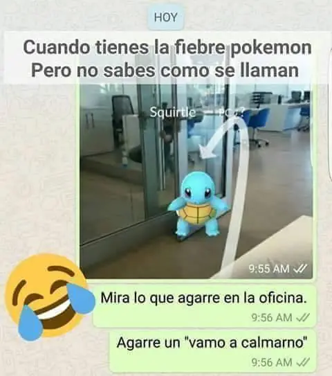 chicas