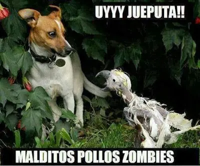 viernes