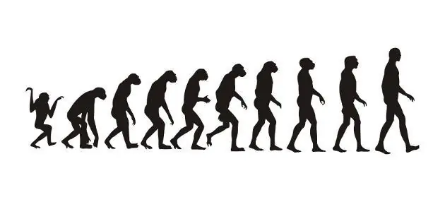5 Falsos argumentos que creen quienes niegan la evolución