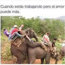 humor