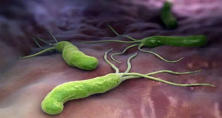 Esta bacteria tambien la trajeron los europeos!