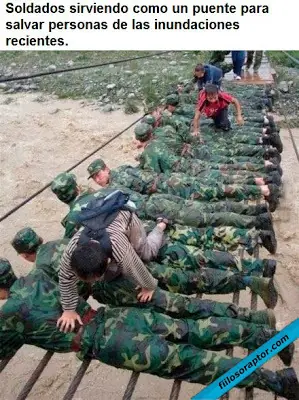 humanos humanos