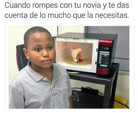 puerquito