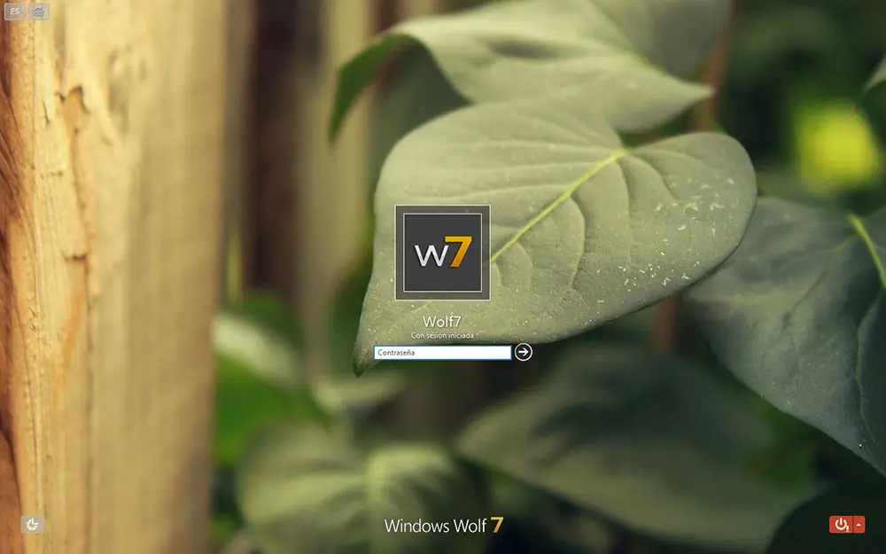 Windows