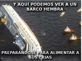 imagenes