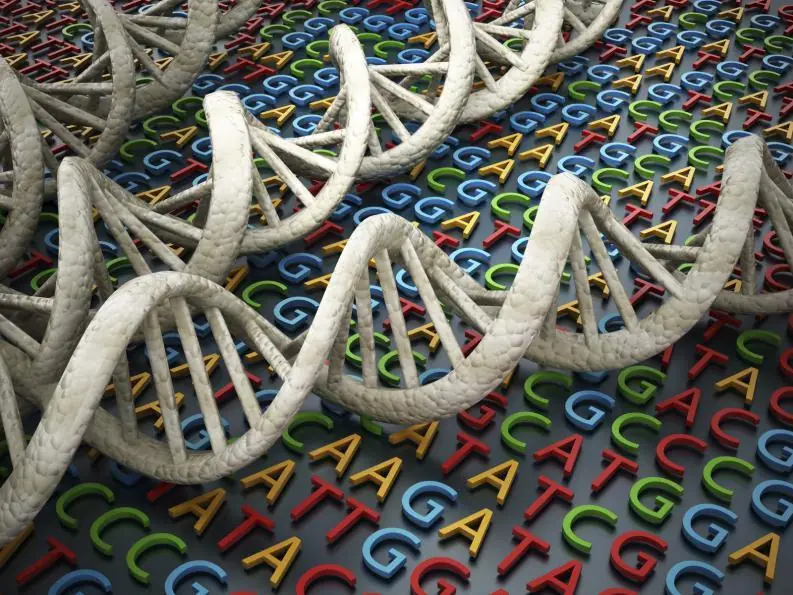 5 falsos argumentos que creen quienes niegan la evolucion