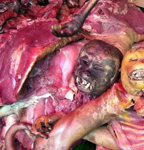 comidas raras