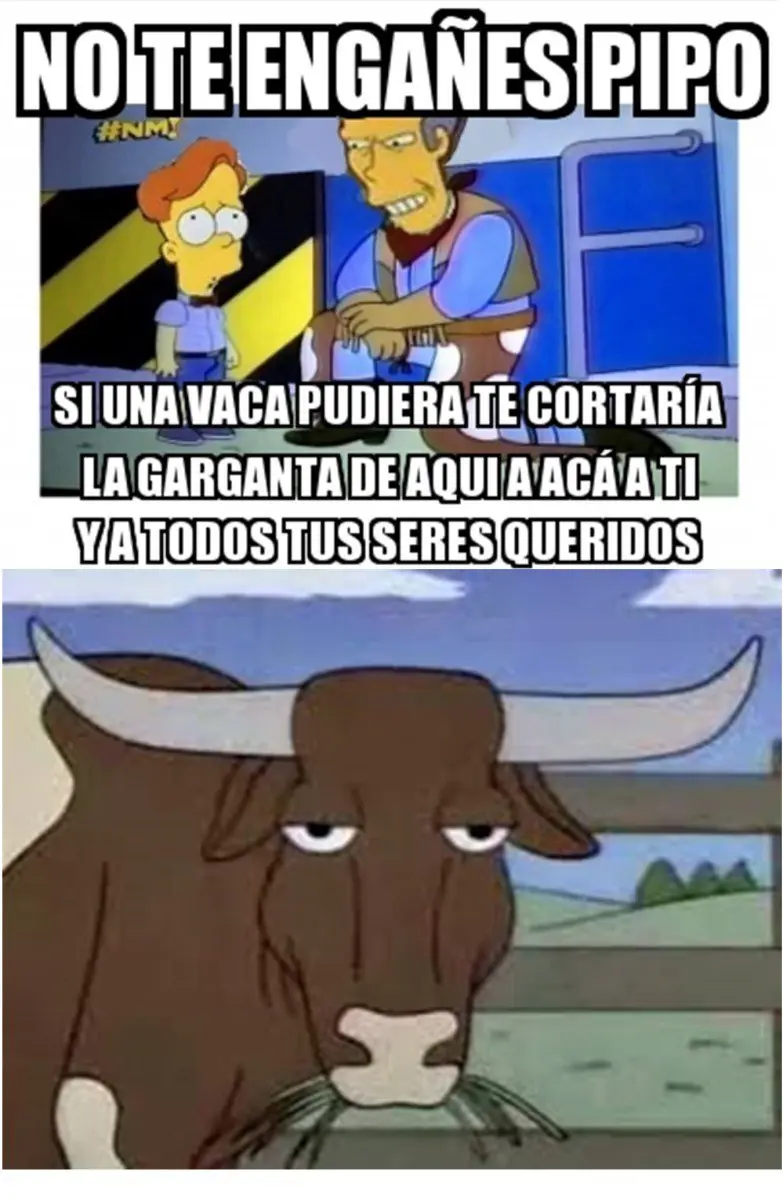 Memardos :3 nocturnos para linces aburridos
