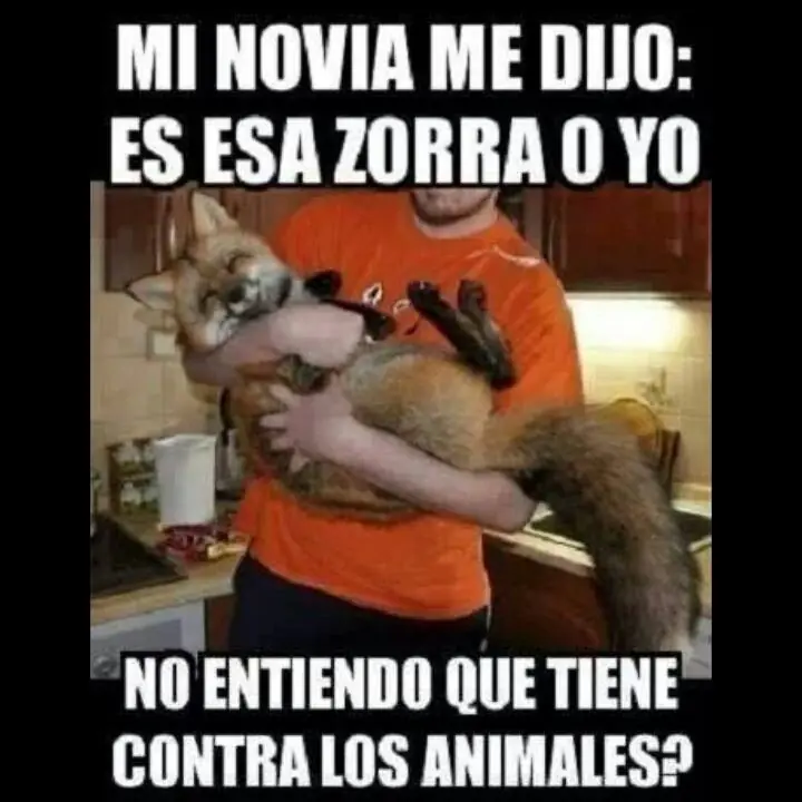 Imagenes Humor linces