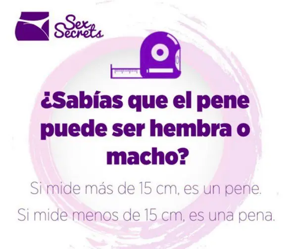 Imagenes graciosas