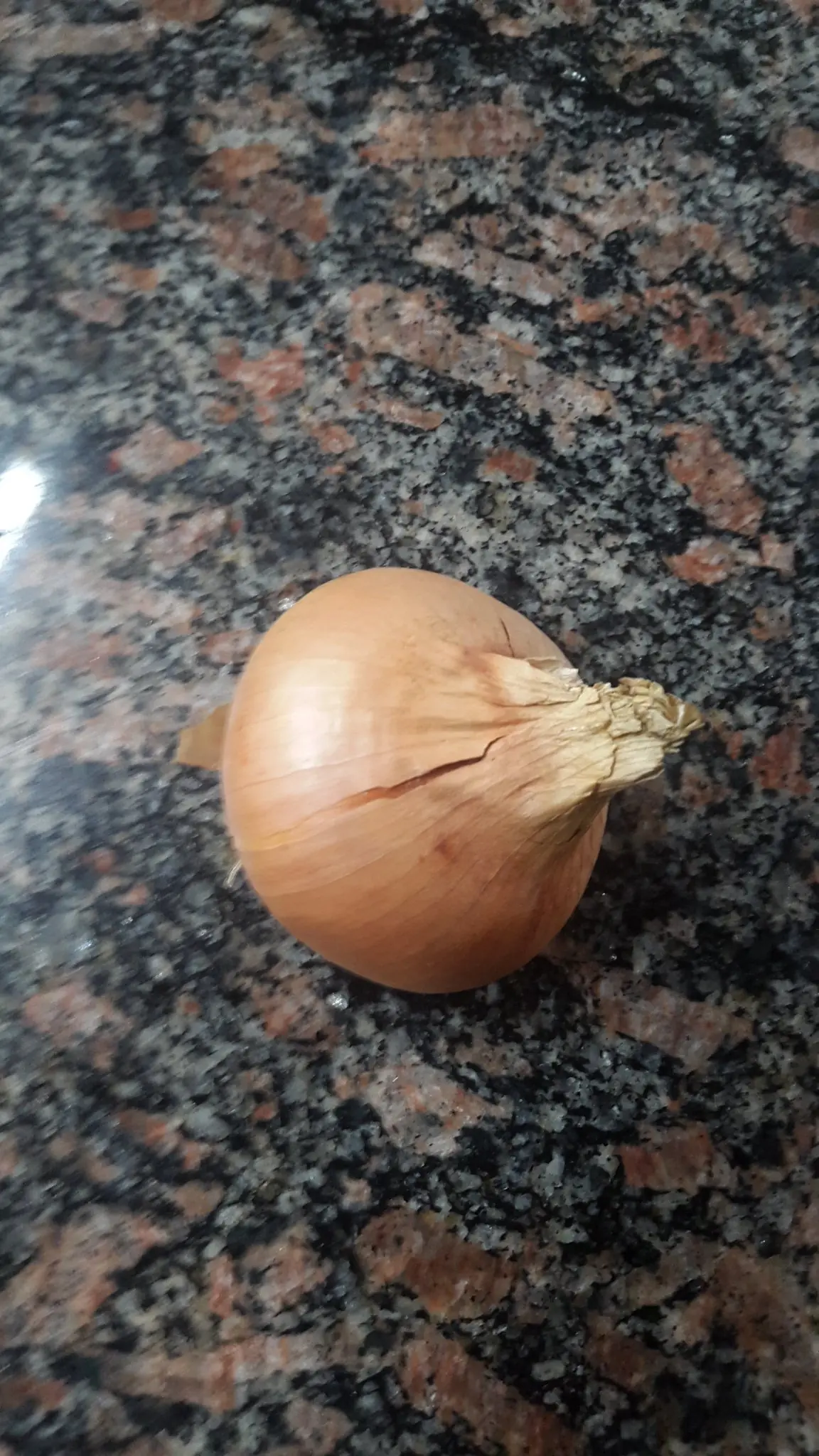 comida comida