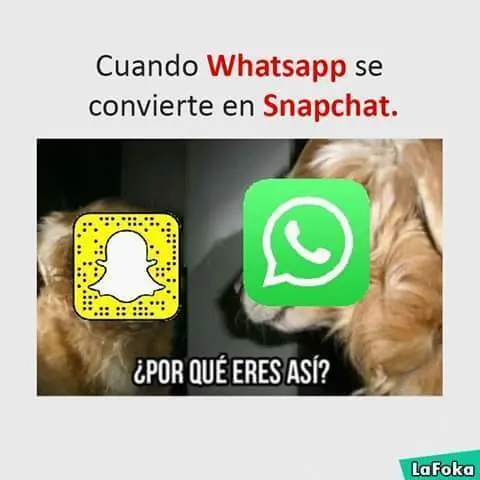 reir